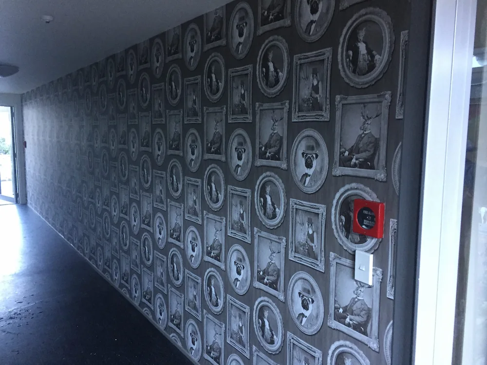 feature wall wallpaper installation in arrowtown